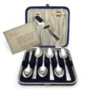 1953 Queen Elizabeth Coronation Spoon Set by Sipelia