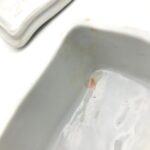 Antique Victorian trinket box hand offering flowers by S&S Limoges.