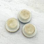 Antique Hand Painted Porcelain Buttons