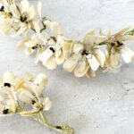Vintage Mother-of-Pearl Flowers Bridal Crown Tiara and Groom's Boutonniere