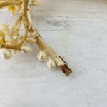 Vintage Wax Flowers Bridal Tiara and Veil with Orange Blossoms