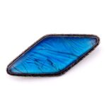 Antique Edwardian Sterling Silver Morpho Butterfly Wing Brooch