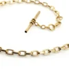 Victorian Albert watch chain with T-bar