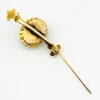Late Victorian 14k gold brooch with oval turquoise, natural seed-pearl halo, and fleur-de-lis ends