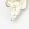 Sterling silver pendant showing a bearded mythological figure with curled ram horns, an acanthus leaf between the horns, a pointed beard, and a broad bail.